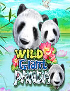 สำรวจ พร บ การพนัน (ฉบับที่ 7) พร้อมวิธีเล่นเกมสล็อตใหม่